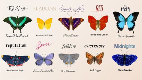 Taylor Swift Butterflies, Taylor Swift Butterfly, Taylor Swift Lover Aesthetic, Taylor Tattoo, Swiftie Party, Lilly Grace, Lover Aesthetic, Aesthetic Butterfly, Taylor Swift Lover