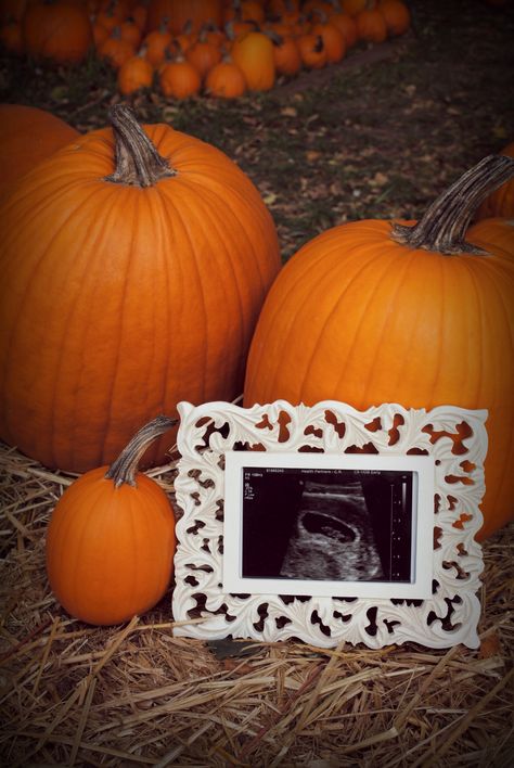 Ultrasound in a pumpkin patch. Maternity photography. Pumpkin Patch Maternity Pictures, Pumpkin Maternity Photos, Fall Maternity Shoot, Maternity Photography Fall, Fall Maternity Pictures, Pumpkin Patch Photoshoot, Pumpkin Patch Pictures, Fall Maternity Photos, Fall Pregnancy