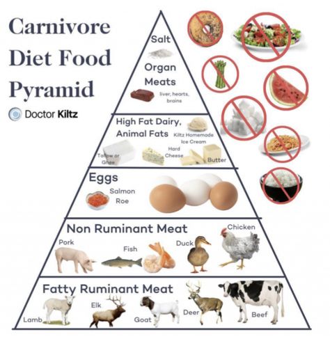 Diet Types, Paleo Diet Food List, Beef Kidney, The Carnivore Diet, Caveman Diet, Meat Diet, Salmon Roe, Carnivore Diet, Recipes Diet