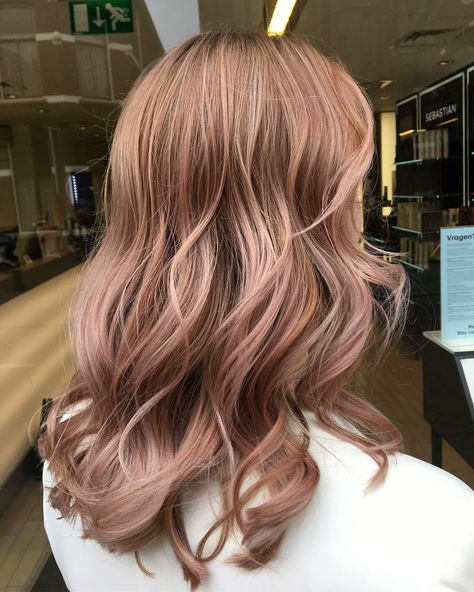 Dark Rose Blonde Hair, Dark Blonde And Pink Hair, Rose Blonde Hair, Rose Gold Hair Brunette, Pink Hair Highlights, Rose Blonde, Hair Brunette, Warm Blonde, Dark Hair With Highlights