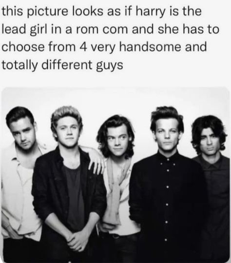 One Direction Memes Hilarious, Funny One Direction, Four One Direction, One Direction Jokes, Harry Styles Memes, 1d Funny, One Direction Wallpaper, Direction Quotes, Midnight Memories