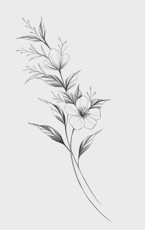 Flower Tattoos Wildflowers, Dogwood Tattoo Design, Long Vine Tattoo, Common Hawthorn Tattoo, Leaf And Flower Tattoo, Floral Vine Tattoos Sleeve, Tattoo Botanica, Fineline Flower Tattoo, Fineline Flowers