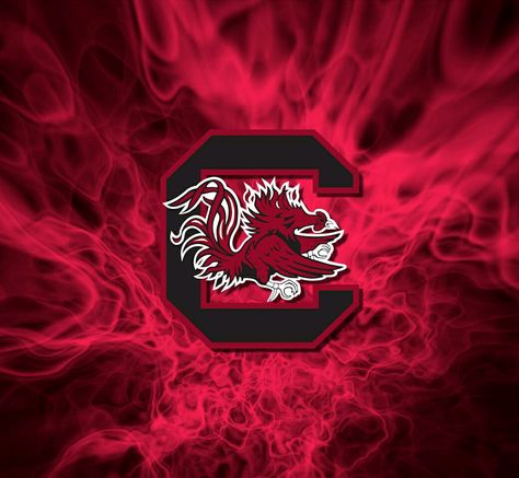 South Carolina Gamecocks Wallpapers, Gamecocks Wallpaper, Dirty Blonde Hair Natural, Dirty Blonde Hair Ideas, Blonde Hair Natural, Gamecock Football, South Carolina Gamecocks Football, South Carolina Football, Gamecocks Logo