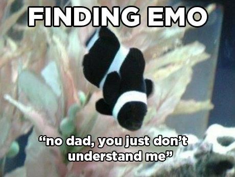 Nemo Memes, Die For You, Touch Meme, Finding Emo, Emo Nemo, Emo Meme, Humor Disney, That's Hilarious, Funny Disney Memes