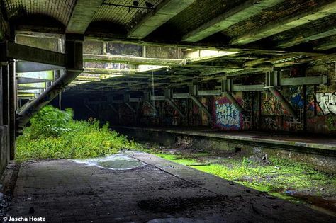 Garden Station, Abandoned Train Station, Apocalypse Aesthetic, Abandoned Hospital, Abandoned Train, Subway Station, Abandoned Mansions, Botanic Gardens, Metro Station