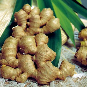 Ginger, The Health Benefits Wedang Jahe, Skincare Recipes, Health Benefits Of Ginger, Ginger Benefits, Ginger Recipes, Homemade Beauty, Diy Skincare, Ginger Root, Healing Herbs