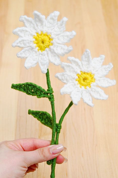 This crochet daisy is such a fun and easy flower craft! Perfect for beginners and all skill levels! Follow our step by step photo and video tutorials and download our FREE printable crochet daisy pattern to make this super cute crochet flower. Such a fun craft for spring, Mother's Day, weddings, or anniversaries! Easy Flower Craft, Craft For Spring, Crochet Plants, Super Cute Crochet, Shasta Daisy, Daisy Petals, Diy Crafts For Adults, Flower Craft, Crochet Plant