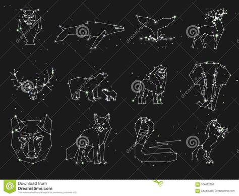 Animal Constellations, Black Deer, Dark Sky, Dark Skies, Styled Stock, Wild Animals, Life Coach, Constellations, Animals Wild