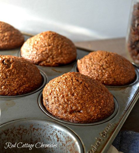 Multigrain Recipes, Easy Bran Muffin Recipe, Assorted Muffins, Wheat Bran Muffins, Raisin Bran Muffin Recipe, Buttermilk Recipe, Pumpkin Bread Recipe Healthy, Raisin Bran Muffins, Muffin Pan Recipes