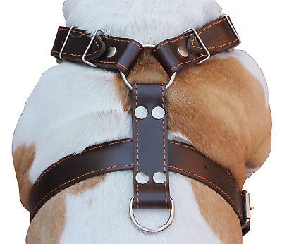 Find many great new & used options and get the best deals for Dog Harness 30"-35" chest Genuine Leather German Shepherd Doberman Pitbull at the best online prices at eBay! Free shipping for many products! German Shepherd Doberman, Dog Pulling Harness, Dog Harness Leather, Dog Harness Pattern, Leather Dog Harness, Dog Belt, Pitbull Boxer, Dog Accesories, Walking Harness