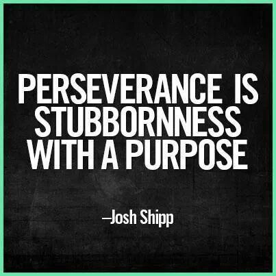 Perseverance is stubbornness with a purpose~Josh Shipp (I love this one)LOL! Description from pinterest.com. I searched for this on bing.com/images Perseverance Quotes, How To Believe, This Is Your Life, Quotable Quotes, Quotes About Strength, Famous Quotes, Motivation Inspiration, The Words, Great Quotes