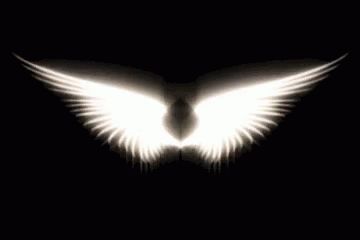 Angel Wings GIF - Angel Wings Fly - Discover & Share GIFs Angel Wings Gif, What Element Are You, Angel Wings Pictures, Fly Gif, Angel Gif, Foto Langka, Angel Images, Cărți Harry Potter, Banner Gif