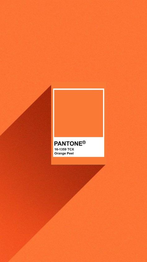 Luxury Orange Color Palette, Pantone Shade Card, Orange Branding, Orange Pantone, Pantone Orange, Digital Advertising Design, Orange Color Schemes, Orange Color Palettes, Color Vibe