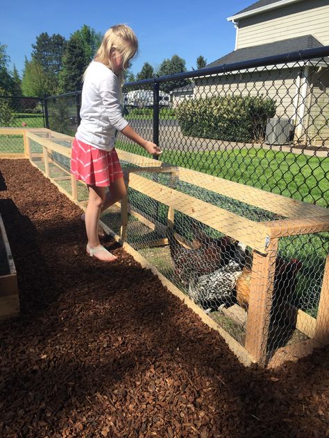 Chicken tunnel Reban Ayam, Chicken Tunnel, Chicken Tunnels, Chicken Coop Garden, Backyard Chicken Coop Plans, Diy Chicken Coop Plans, Chicken Coop Run, Backyard Chicken Farming, Chicken Cages