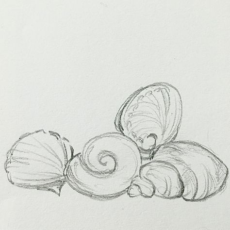 Easy Detailed Sketch, Seahours Drawing, Sea Art Aesthetic, Sketchbook Ideas Ocean, Sea Creatures Sketch Drawings, Cute Sketchbook Drawings, Ocean Related Drawings, Ocean Drawings Aesthetic, Mermaid Core Drawing