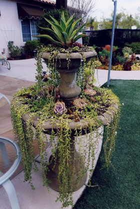 Succulent Fountain, Fountain Decor, Elf Aesthetic, Fountain Garden, Pond Garden, Succulent Landscape Design, Goth Garden, Small Front Yard Landscaping, Succulent Garden Design