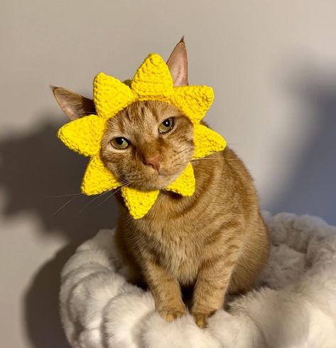 Sun hat for your cat! This Sunshine hat is the purrrrfect accessory for the cats in your life. Shopping for an adorable summer photo shoot? Halloween? Or just a great gift for the cat in your life? Look no further, this sun hat is for you!  This sun hat is hand crocheted to fit most average sized adult cats (and extra small dog breeds). Includes ear holes for your cat's ears and a chin strap to keep the hat in place. DM me with questions, custom orders, or inquiries about other color options. Crocheted Hats For Cats, Crochet Hats For Cats, Crochet For Cats, Crochet Cat Hats, Sunshine Crochet, Cats In Hats, Sun Crochet, Gifts For Cats, Crochet Cat Hat