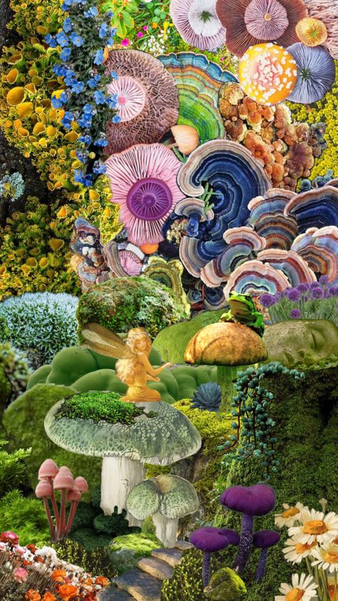 #art #fairies #secretgarden #mushroomcore Mushroomcore Aesthetic, Fairies And Mushrooms, Mushrooms Aesthetic, Mushroom Core, Wild Mushrooms, The Hobbit, Ecology, Secret Garden, Connect With People