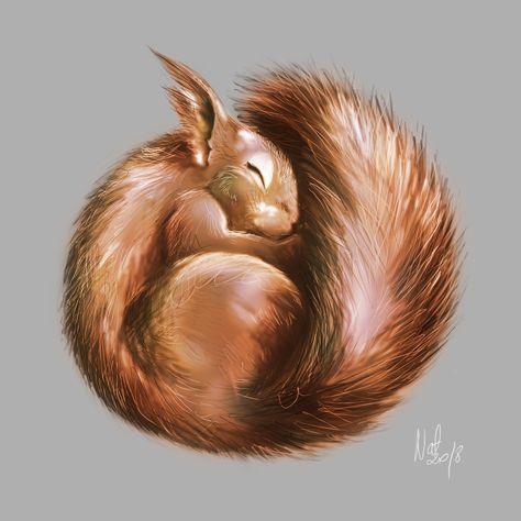 sleeping squirrel Squirrel Illustrations, Squirrel Party, Sleeping Squirrel, Scottish Wildlife, Squirrel Tattoo, Squirrel Illustration, Crazy Tattoos, Animal Tattoo Ideas, Woodland Wallpaper