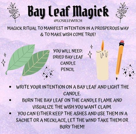 Bay Leaf Magic, Magick Herbs, Magical Stuff, Manifestation Methods, Wish Spell, Witch Tips, Green Witchcraft, Easy Spells, Spell Jars