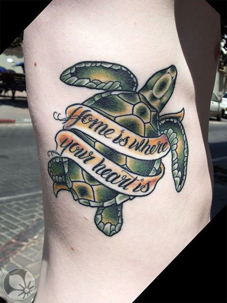 Traditional Turtle Tattoo, Blastoise Tattoo, Shellback Tattoo, Golden Dragon Tattoo, Dave Tattoo, Pirate Tattoos, Nautical Tattoos, Random Tattoos, Sea Turtle Tattoo