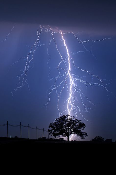 Thunderstorm Photography, Anime Lightning, Steel Wool Photography, Lightning Sky, Lightning Images, Thunder And Lighting, Lightning Art, Lightning Photography, Weird Trees