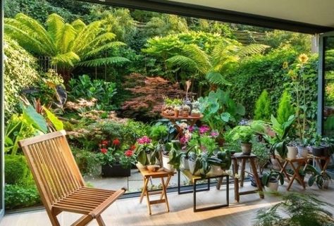 40 Magical Plant Garden Ideas for Every Outdoor Space - These garden design ideas are essential to a system you'll love for years to com... #gardenideas #smallcity Patio Planting, City Patio, Jungle Retreat, Small Tropical Gardens, Architectural Plants, Tropical Garden Design, Jungle Gardens, Small Courtyard Gardens, London Garden