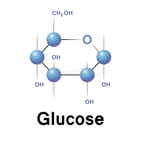 Glucose Molecule, Anaerobic Respiration, Acetyl Coa, Subcutaneous Tissue, Personalized Medicine, Chemistry Lessons, Visceral Fat, Body Cells, Adipose Tissue