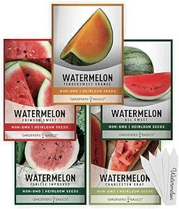 Watermelon Varieties, Growing Melons, How To Grow Watermelon, Watermelon Plant, Watermelon Seed, Sweet Watermelon, Seed Pack, Watermelon Seeds, Watermelon Fruit