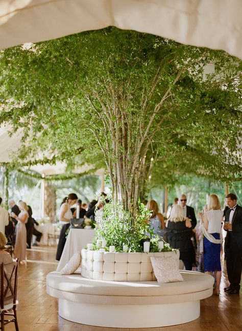 Tree In Wedding Reception, Charleston South Carolina Wedding, Outdoor Tent Wedding, Charleston Wedding Photography, Colin Cowie Wedding, Tented Reception, Indoor Wedding Receptions, Meditation Studio, Classic Elegant Wedding