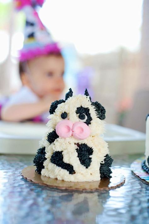 This adorable baby cow was the smash cake for a very special 1st birthday. Cow First Birthday Cakes, Cow Print First Birthday Cake, Cow Cake Smash 1st Birthdays, Cow Smash Cake First Birthdays, Cow Birthday Smash Cake, Cow Themed Smash Cake, One Year Old Cow Birthday Party, Cow One Year Birthday, Farm Smash Cake Boys