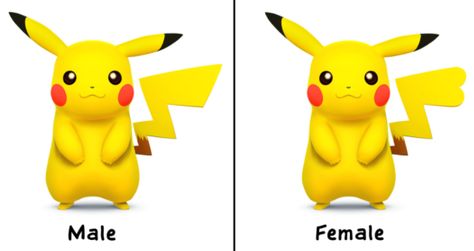 Side by side showing difference between male pikachu tail and female pikachu tail Pikachu As A Human, Pikachu And Ketchup, Pikachu Different Type, Female Pikachu, Pikachu Tail, Women’s Pikachu Costume, Male Vs Female, Human Pikachu, Cosplay Inspo