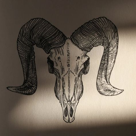 Bighorn Sheep Skull Drawing, Pronghorn Skull Tattoo, Bighorn Sheep Tattoo, Big Horn Sheep Tattoo, Big Horn Sheep Skull, Dainty Tattoo, Sheep Tattoo, Art Inspired Tattoos, Sheep Skull