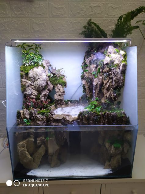 Paladarium Design, Biotope Aquarium, Aquarium Garden, Fish Tank Terrarium, Plants In Jars, Aquascape Design, Garden Pond Design, Beautiful Terrariums, Aquarium Landscape