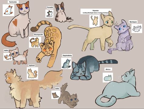 Clan Gen, Warrior Cats Clans, Warrior Cats Books, Cats Art Drawing, Cat Anatomy, Cat Obsession, Warrior Cats Fan Art, Warrior Cat Drawings, Warrior Cat Oc