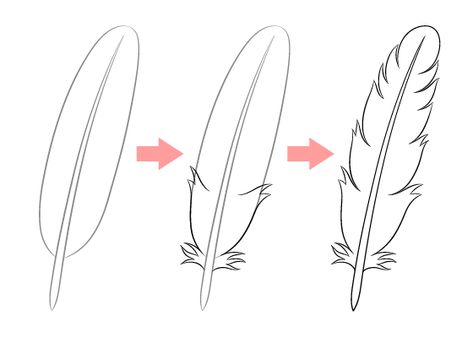 How To Draw Feathers, Feather Outline, Thanksgiving Drawings, Drawing Male Hair, Side View Drawing, Rose Step By Step, Tulip Drawing, Easy Step By Step Drawing, Composition Drawing