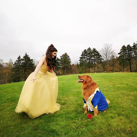 6 Halloween Costumes, Beast Halloween Costume, Golden Retriever Halloween Costume, Beauty And The Beast Halloween Costume, Diy Beauty And The Beast, Beauty And The Beast Halloween, Dog And Owner Costumes, Cute Dog Halloween Costumes, Puppy Halloween Costumes