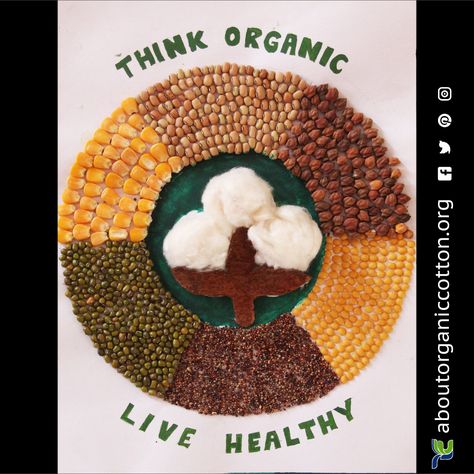 Organic Cotton is about more than just cotton. It's also about food for farmers. The grains and pulses shown here are some of the crops grown together with organic cotton. "Climate is changing. Food and agriculture must too." Support World Food Day. Please share. #OrganicCotton #ZeroHunger #WFD2016 #Sustainable #Organic #FoodToFiber Learn more: aboutorganiccotton.org  Artwork by Yaswanth, Keerthan, Pranav Nachiar Vidyalayam (Tamil Nadu, India). Part of an art competition organized for schools b Agriculture Art Projects, World Pulses Day Creative, Pulses Craft For Kids, World Food Day Activities For Kids, Agriculture Projects For School, Pulses Art, Agriculture Crafts, Diaroma Ideas, Agriculture Art