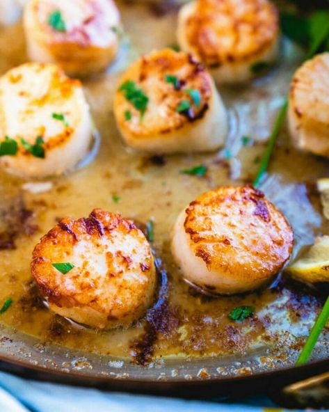 Sauce For Scallops, Scallop Recipes Healthy, Recipes Mediterranean Diet, Easy Scallop Recipes, Fennel And Orange Salad, How To Cook Scallops, Mediterranean Diet Recipes Dinners, A Couple Cooks, Dried Scallops