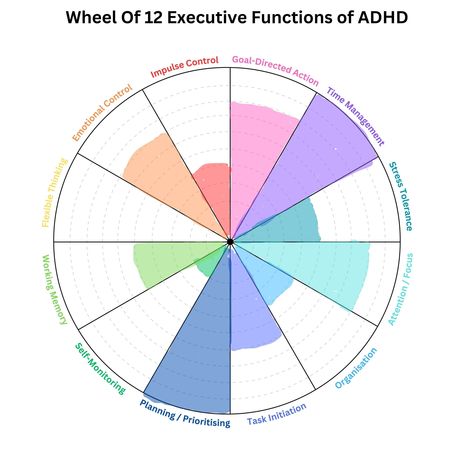 ADHD executive function wheel - Phil Dinkwater Black And White Thinking, List Of Emotions, Executive Functions, Flexible Thinking, Small Business Coaching, Executive Function, Self Monitoring, Successful Business Owner, Entrepreneur Startups