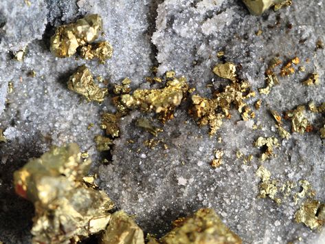 Gold mining, gold ore Gold Ore, Memory Chip, Gold Prospecting, Golden Texture, Beyond The Sea, Gold Mine, Hidden Treasure, Coins Worth Money, Metal Detecting