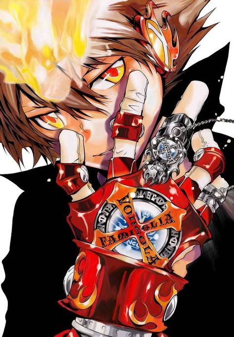 Hitman Reborn, Anime