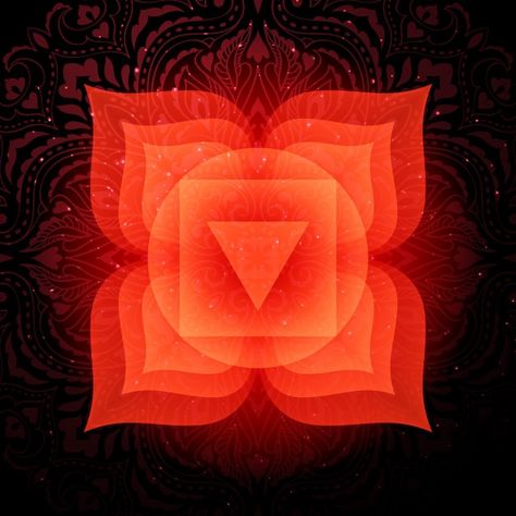 Chakra Books, Muladhara Chakra, Manipura Chakra, Anahata Chakra, Chakra Alignment, Chakra Symbols, Chakra Art, Mandala Background, Chakra Meditation