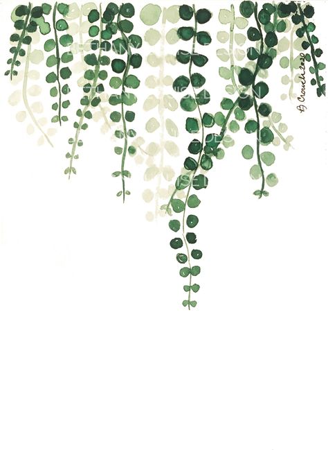 Hanging, trailing green vines in various shades of green.  This high-resolution PRINTABLE art is available to download automatically after your payment is processed at http://www.etsy.com/your/purchases. You'll have instant decor on your walls in minutes! You will receive a high-resolution JPG file in an 5x7 inch size INSTANT DOWNLOAD - NO PHYSICAL PRODUCT WILL BE SHIPPED! TERMS OF USE : - You may print as many copies as needed after your purchase - for personal use or to give as a gift. - The f Vine Leaves Drawing, Green Vines Drawing, Green Themed Painting Ideas, Hanging Vines Painting, Vines Design Drawing, Printable Wall Art Green, Easy Vine Painting, Painted Vines On Wall, Green Plants Drawing