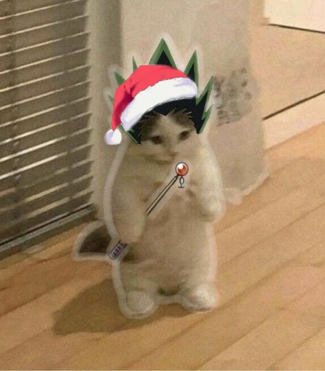 Gon from Hunter x Hunter standing cat meme Christmas Cat Memes, Merry Christmas Meme, Christmas Meme, Standing Cat, Christmas Memes Funny, Merry Christmas Cat, Pic Art, Christmas Memes, Merry Christmas Funny