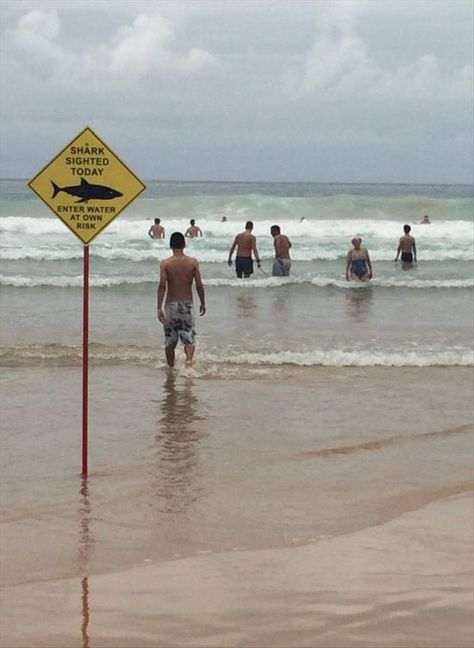 Funny Beach Photos, Funny Beach Pictures, Australian Memes, Doug Funnie, Beach Humor, Beach Signs, Vacation Photos, Beach Vibes, Mug Shots