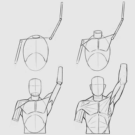 Raised Arm Anatomy, Drawing Shoulders And Arms, Arm Raised Anatomy, Lifted Arm Reference, Arm Raised Pose Drawing, Pec Anatomy, Arms Raised Above Head Pose Reference, Raised Arm Drawing Reference, Arm Over Head Pose