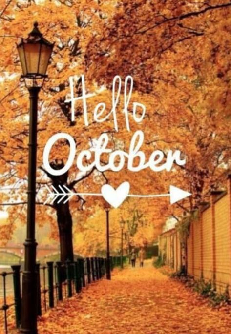 #october #OctoberVibes #needmorecoffee October Tumblr, Welcome October Images, Hello March Quotes, Hello September Quotes, October Memes, Hello October Images, Hello January Quotes, October Images, Patch Aesthetic