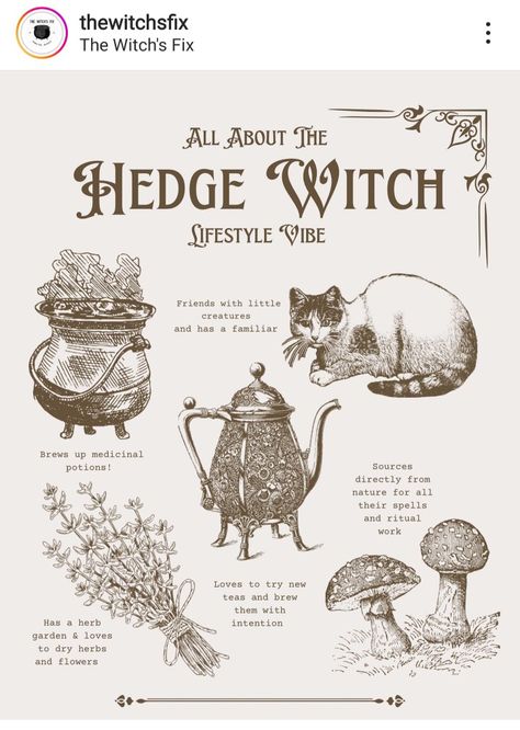 Hedgewitch Aesthetics, Hedge Witch Aesthetic Fashion, Earth Witchcraft, Hedge Witch Aesthetic, Witch Mushroom, Witch Yoga, Hedge Witchcraft, Types Of Witches, Hedge Witchery