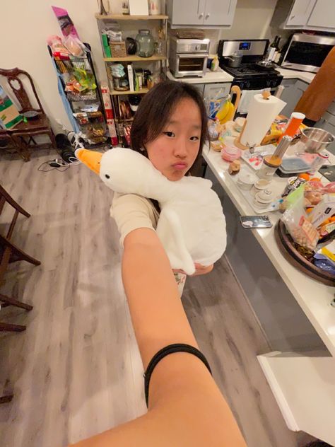 Giant Goose Plush, Cho Gue Sung, Goose Plush, Gue Sung, Cute Plush, Stuffed Animals, Room Ideas, Bedroom, Toys